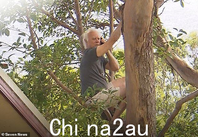 Norm Duke,70 岁,(如图)在树艺师抵达他位于昆士兰黄金海岸沿海郊区 Currumbin 的房产前不久,对当地的灌木箱进行了缩放