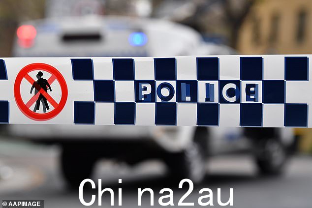 北部海滩警察局长 Pat Sharkey 告诉记者,最初的海上搜索条件充满挑战