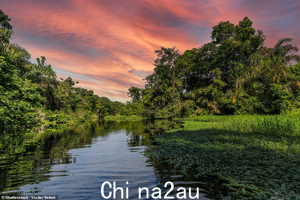 Kate travels around Tortuguero National Park (above) - known as Costa Rican Amazon - on the northeast coast
