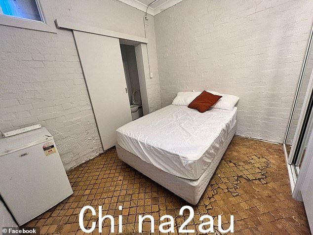 公寓的照片显示地板开裂,脏兮兮的破碎瓷砖和床边的厕所,天花板顶部附近有小窗户