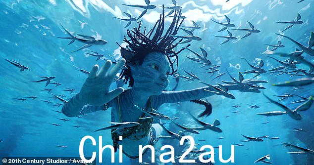 两项提名:詹姆斯卡梅隆的续集阿凡达:水之道未能在提名名单中获得高分,但在声音和特殊视觉效果类别中获得点头