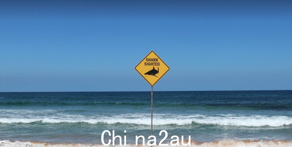 2.JPG,0