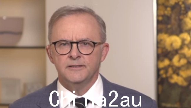 总理 Anthony Albanese 对议会之声的法律影响的看法是错误的,IPA 的 Daniel Wild 认为。图片:Sky News Australia