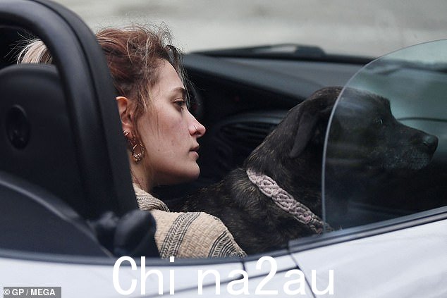 成功:已故偶像迈克尔杰克逊的女儿不久后找回了这只动物,有人看到她开着一辆保时捷把它放在腿上飞驰而去