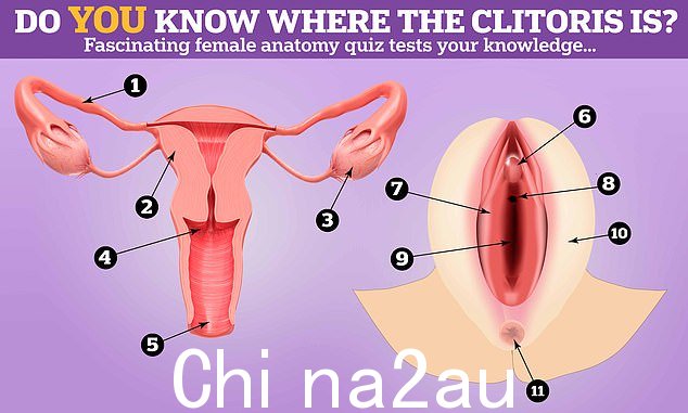 你能标记这个女性解剖结构吗?在下面找到答案