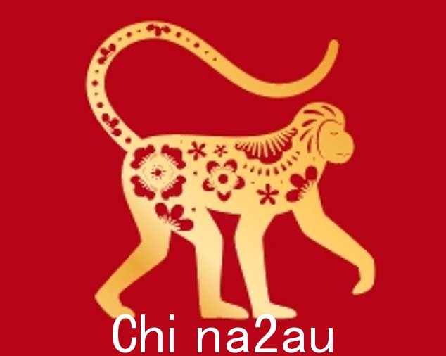猴子善于交际,致力于照顾他们的健康。猴子今年的努力会成功