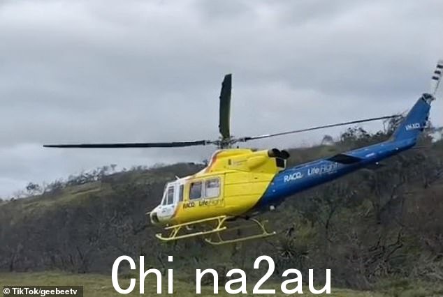Ben 在被蛇咬伤后被救护车送往医院