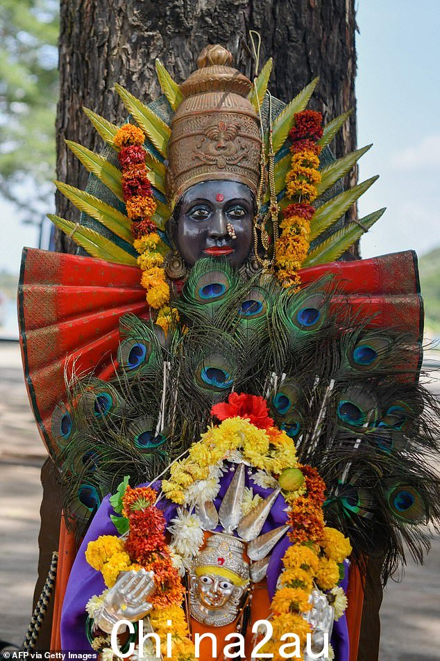 在池塘附近的一棵树上可以看到印度教女神 Yellamma Devi 的装饰面具,前“devadasis”妇女在那里清洗自己