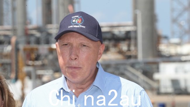 反对党领袖彼得达顿批评了一系列内城区议会取消他们的澳大利亚国庆日公民仪式。图片:NCA NewsWire / David Crosling