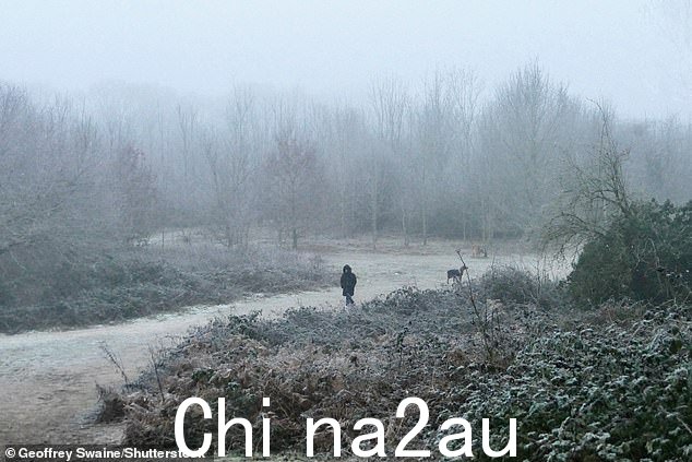 今天早上,在牛津郡邓斯登,一名步行者和他们的狗在寒冷的条件下徒步穿越乡村