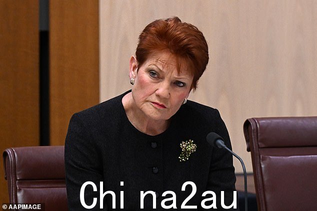 One Nation 领导人 Pauline Hanson 谴责该提议“存在严重缺陷和不公正”
