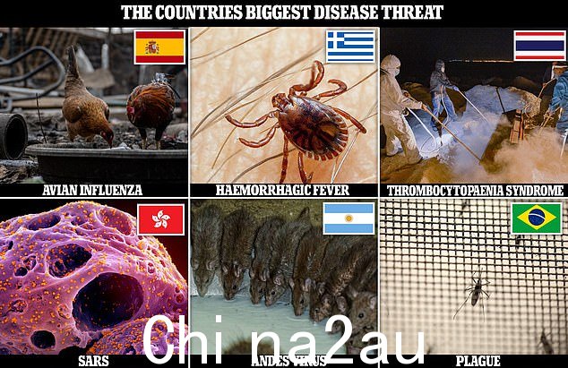 英国卫生安全局 (UKHSA) 公布的数据显示,有 15 种不同出租疾病占每个国家的高后果传染病。克里米亚-刚果出血热是阿根廷最大的疾病威胁,也是报告最广泛的疾病威胁,占 60 个不同国家的 HCID 疾病