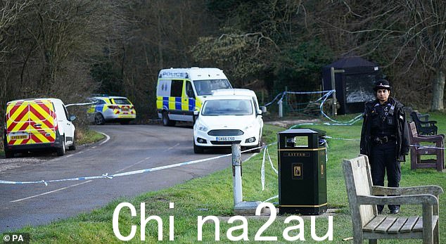 这名 28 岁的妇女在 1 月 12 日萨里的疯狂袭击后死亡。八只狗被警方查获