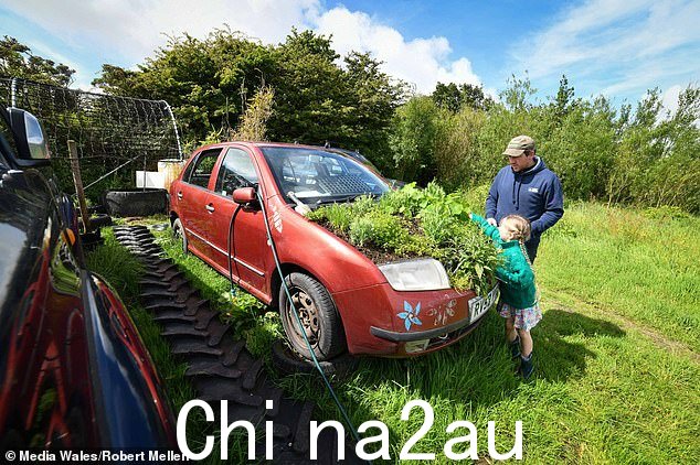 他们用一辆旧汽车作为临时温室,而附近的菜园则被回收轮胎围起来