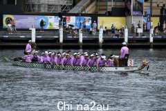 悉尼经贸办于悉尼农历节龙舟竞渡展示香港活力（图）