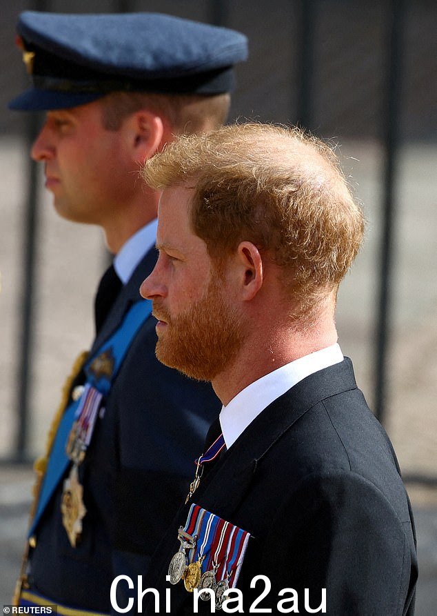至于 William,Harry 在 Spare 和其他流露中代表他是一个脾气暴躁的拳击手,对他进行了身体攻击