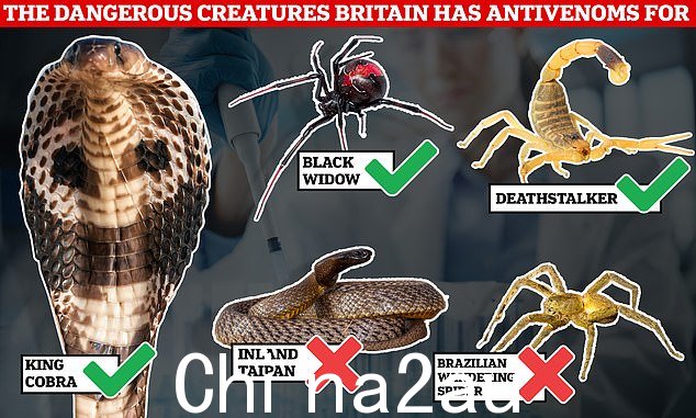 这里的图片是英国卫生主管在英国储存抗蛇毒血清的一些生物,以及两种他们没有储存的生物