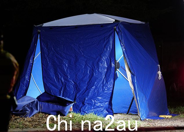 没有其他人在狗的袭击中受伤,孩子的家人得到了受过专门训练的官员的支持