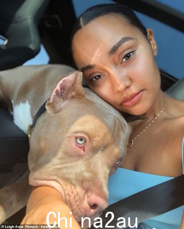争议:包括 Little Mix 明星 Leigh-Anne Pinnock 在内的名人因收养割耳狗而受到批评,这种做法在英国是被禁止的
