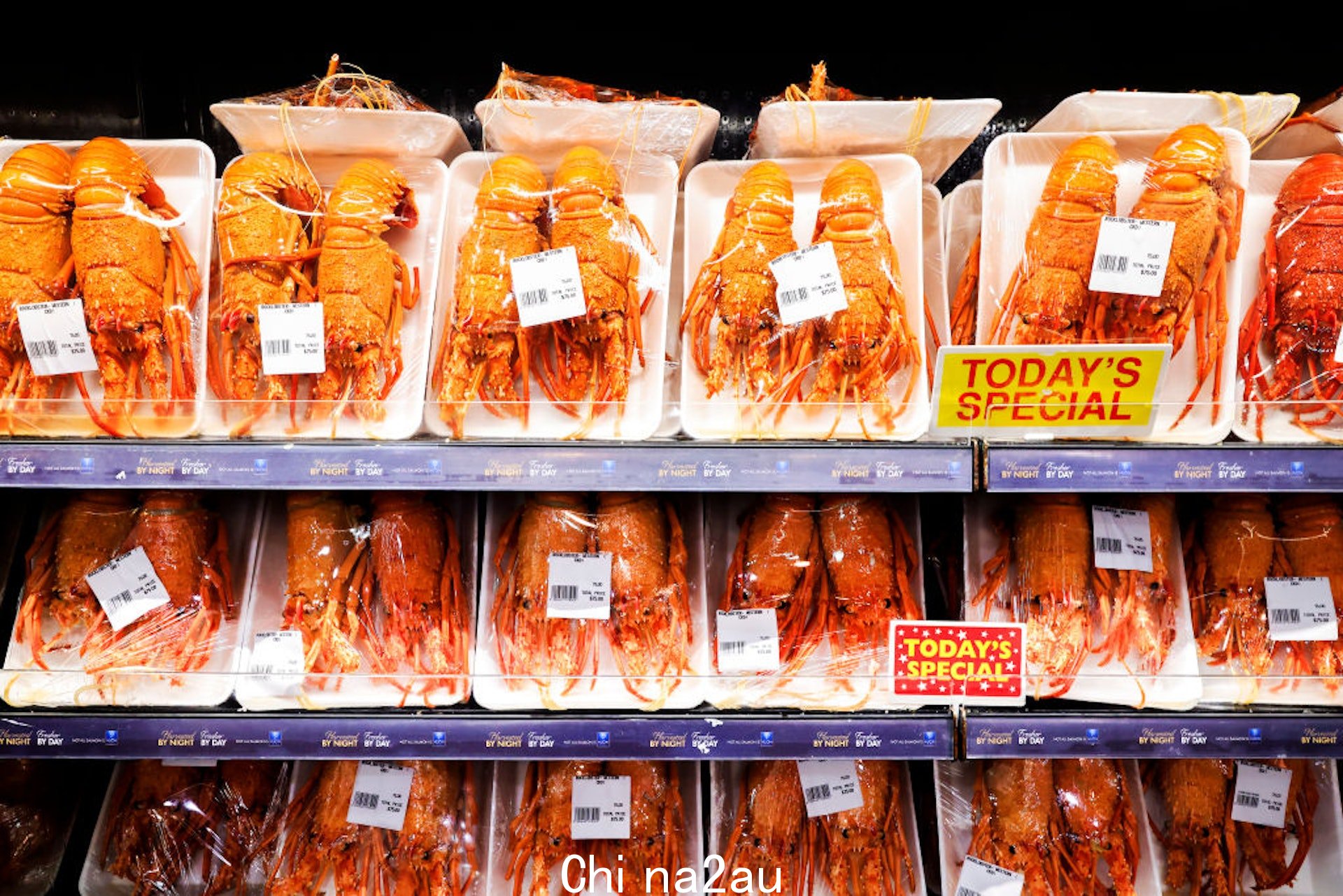 图为2021年12月23日，悉尼龙虾为鱼市售卖。(Getty)