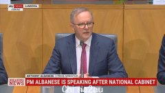 Anthony Albanese 坚称他正在“立即采取行动”来应对澳大利亚残缺不全的医疗系统，并誓言在加强医疗保险报告中采取行动