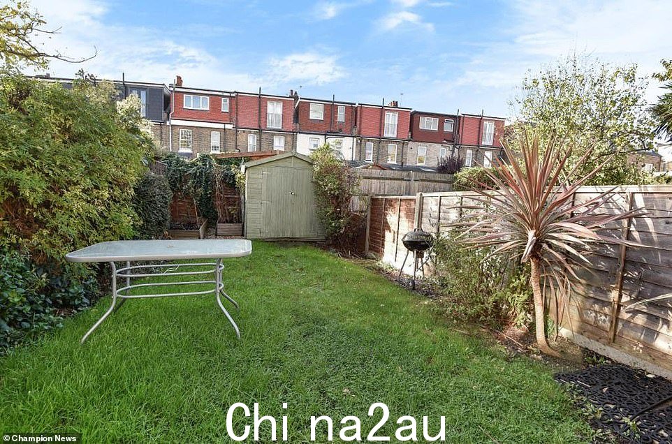 一位家具设计师花了 700,000 英镑买了他梦想中的家,却发现花园棚子后面潜伏着日本虎杖(如图)已成功起诉卖家
