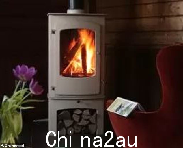 Charnwood Cove 3 发出 12kW 的热量,在适当的情况下可以释放高达 16kW 的热量