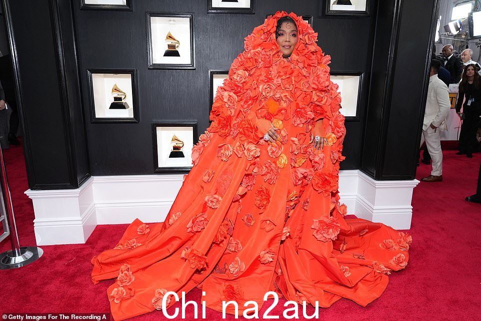 看!莉佐 (Lizzo) 穿着一件宽大的红色花卉礼服,也遮住了她的大部分头部;她穿着定制的 Dolce & Gabbana