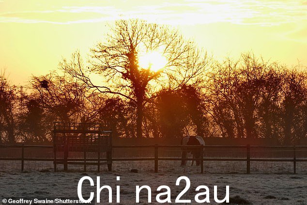 由于英国受到广泛的霜冻和冻雾的袭击,本周气温将降至 -3C,低于零度的爆炸。图为:今天在牛津郡邓斯登寒冷的田野里放牧的马