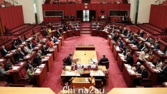 Lidia Thorpe 的绿党因 Voice to Parliament 而辞职，加剧了阿尔巴尼亚政府和联盟的“分裂”主张