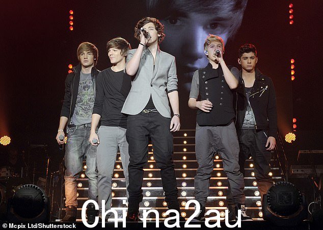 乐队:Simon Cowell 与 Harr y 与其他选手 Niall Horan、Liam Payne、Louis Tomlinson 和 Zayn Malik 组成男团,一举成名