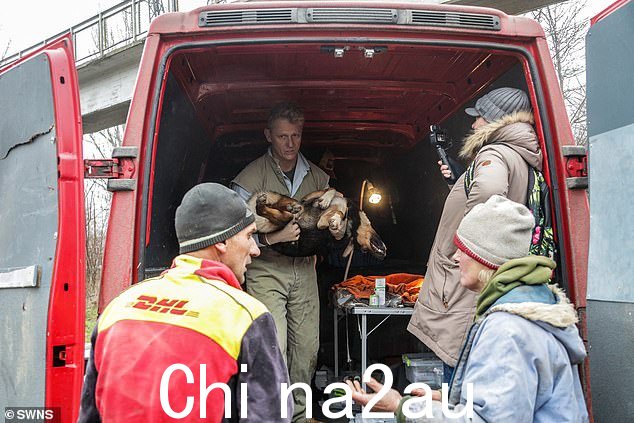 旅程:担任兽医超过 26 年的斯科特乘坐 J 飞机前往罗马尼亚的苏恰瓦anuary 20