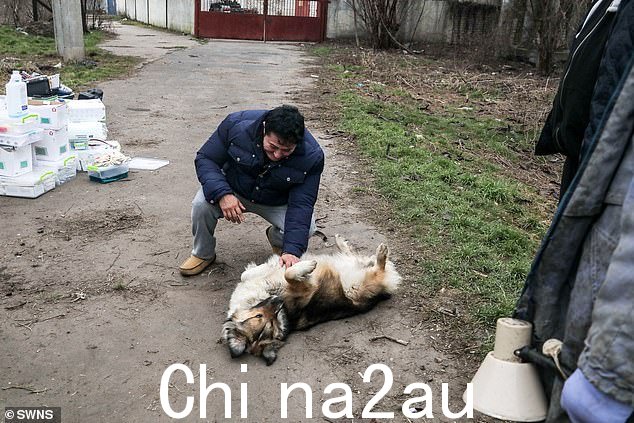 被迫:今天早上常客 Scott 将他 44 岁的妻子 Zoe 和他们的四个孩子留在家里,尽管他们提出抗议,并飞往东欧以拯救动物