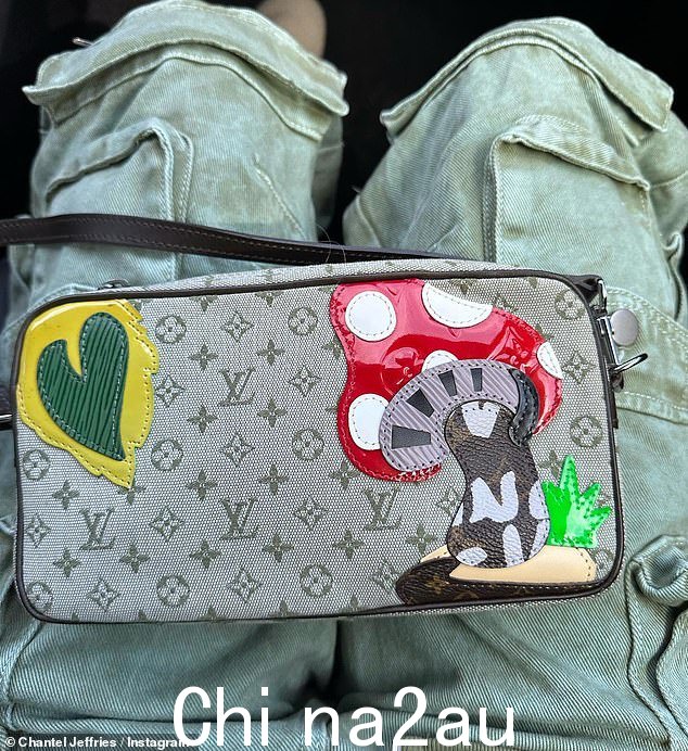 异想天开的包:她的 Louis Vuitton 钱包有一个心形和蘑菇贴花