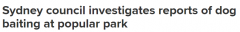 遛狗的人要小心！悉尼热门公园疑有致命毒饵 市议会介入调查（图）