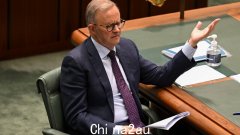 当 Anthony Albanese 引用 Scott Morrison 对联盟的回应时，国会议员警告“停止插话”，提问时间变得火热