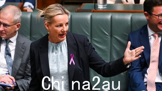 副自由党领袖 Sussan Ley 问 Anthony Albanese 在周三的提问时间谈论利率。图片:Martin Ollman/Getty Images