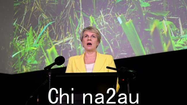环境部长 Tanya Plibersek 首次否决了矿业巨头 Clive Palmer 支持的煤炭项目国家法律规定的矿山。图片:NCA NewsWire / Dan Peled