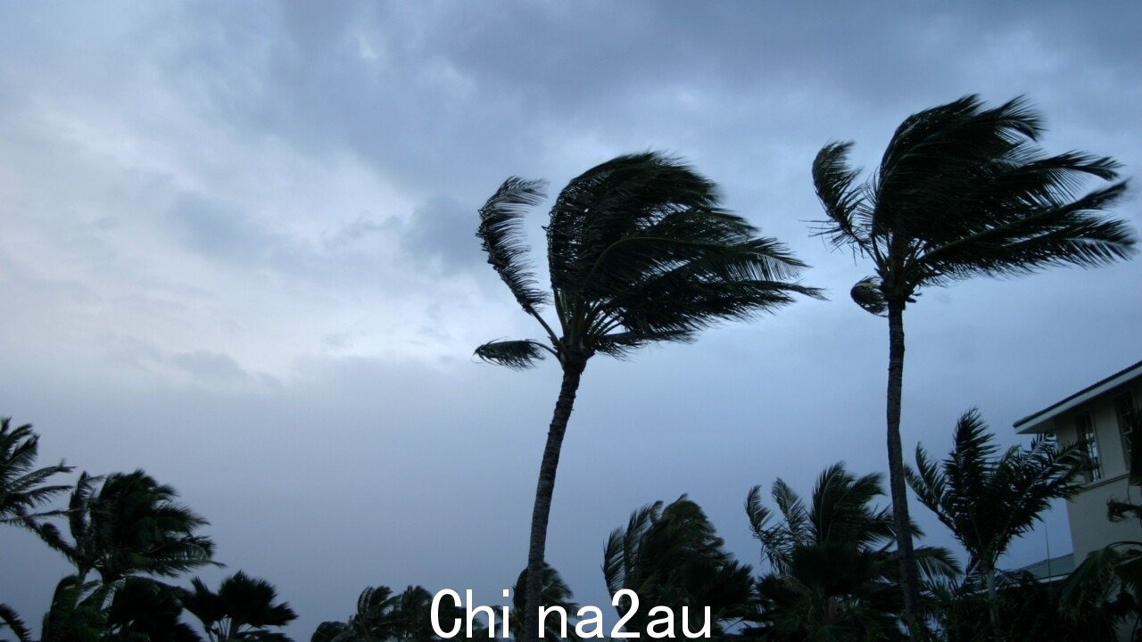 热带气旋弗雷迪在西澳大利亚形成,地平线上还有三场风暴