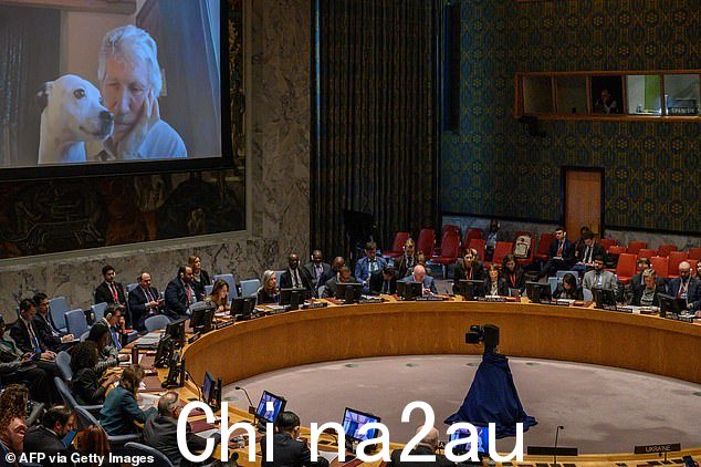 Roger Waters 和他的狗在联合国安理会关于乌克兰的会议期间出现在屏幕上