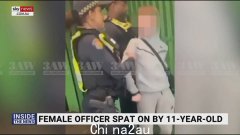 Comanchero 老板 Allan Meehan 在黄金海岸警方突击搜查 Benowa Waters 财产时被捕，原因是涉嫌严重违反预防犯罪令