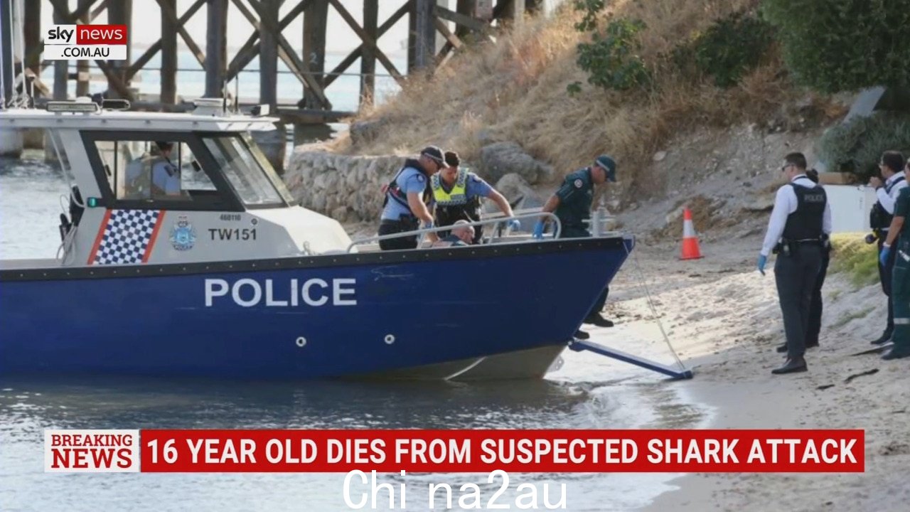16 岁女孩在珀斯疑似鲨鱼袭击后死亡