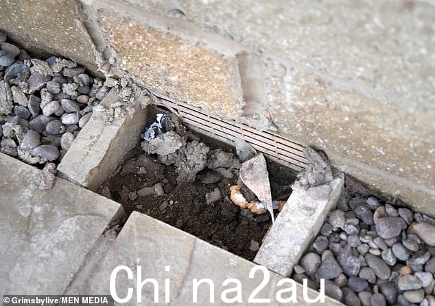 他们说他们正在与家人联络以解决问题