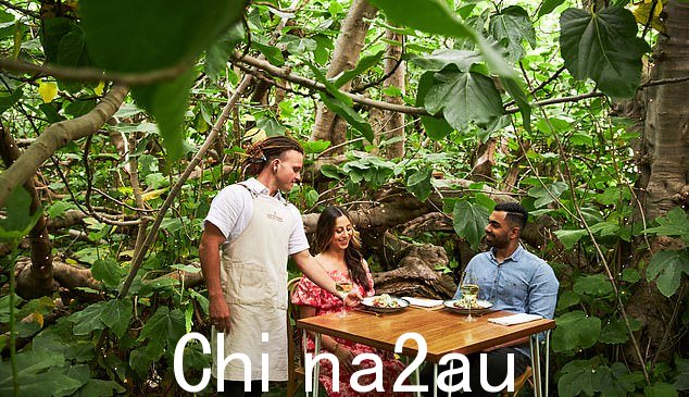 冒险穿过拥有 120 年树龄的魔法无花果树的枝叶繁茂的入口,它将为您敞开大门,体验一场神奇的感官盛宴