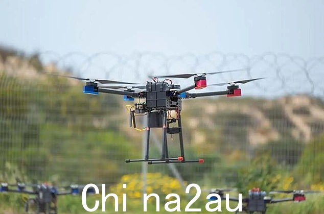 战争专家担心蜂群会变得如此庞大以至于人类无法控制它们。 Stock photo