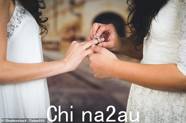 同性婚姻(档案照片)