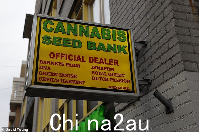 在荷兰拥有交易或制造毒品是犯罪行为,但荷兰政府允许'咖啡店'出售大麻