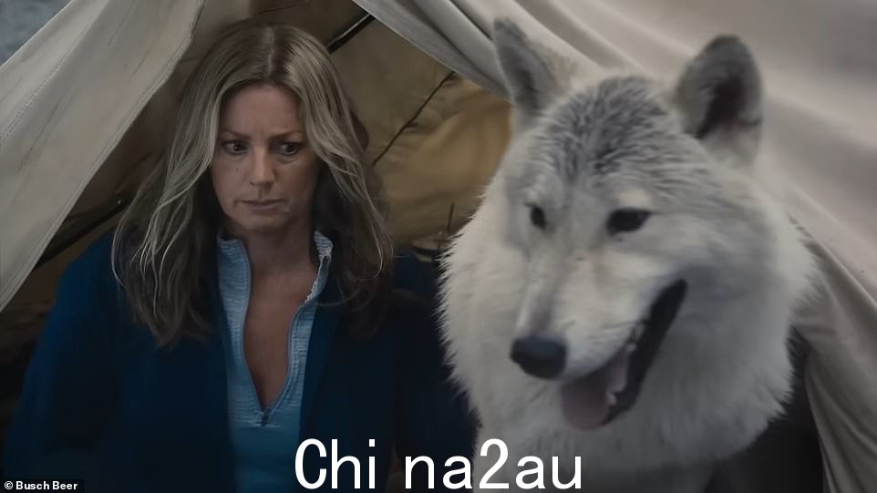 In the arms: Sarah McLachlan poked fun at her classic ASPCA commercial in a new spot for Busch Light