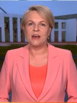 环境部长 Tanya Plibersek 称赞工党的能源干预在降低能源价格方面。图片：Sunrise