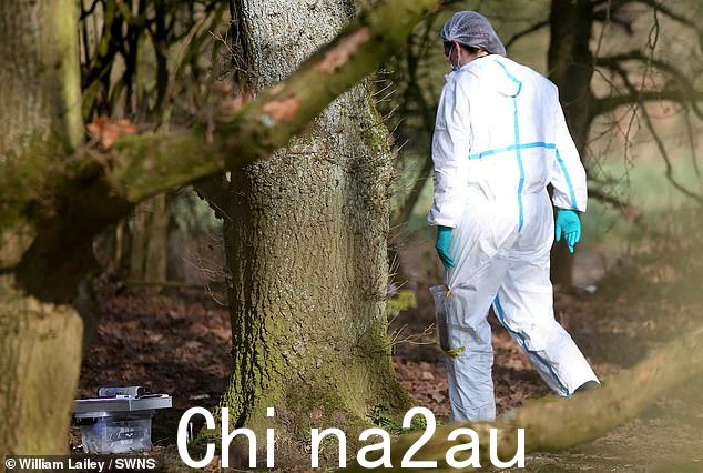 两个少年,一个15岁的男孩女孩,已经因涉嫌与布里安娜之死有关的谋杀罪而被捕。他们目前被拘留,协助警方调查。图为:沃灵顿库尔切斯线性公园的取证调查员今天